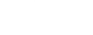 Logo Perry Mason (2020)