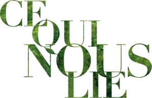 Logo Ce qui nous lie (2017)