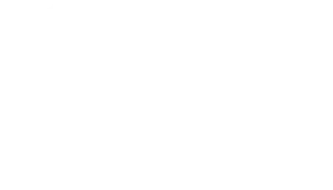 Logo Paradise (2021)