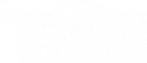 Logo ThunderCats Roar (2020)