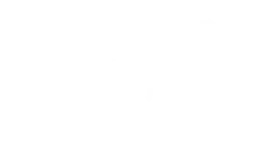 Logo Sterling Point (2026)