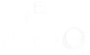 Logo El niño (2016)