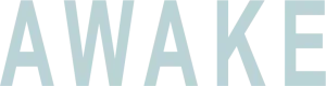 Logo Disomnia (2021)