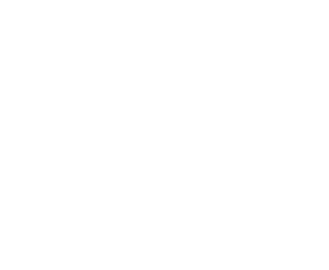 Logo Agente Elvis (2023)