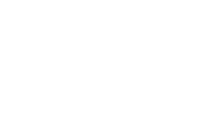 Logo Los 100 (2014)