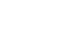 Logo Ron da error (2021)