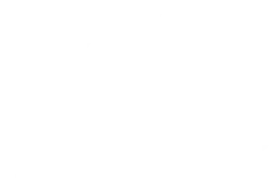 Logo Loco y Estúpido Amor (2011)