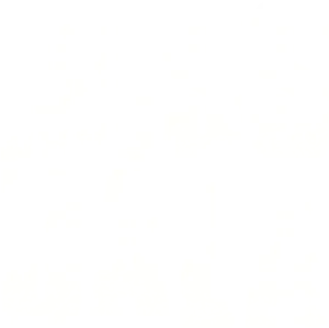 Logo Miss Bala: Sin piedad (2019)