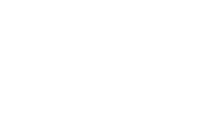 Logo El llamado salvaje (2020)