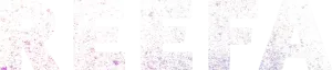 Logo Reefa: El artista (2021)